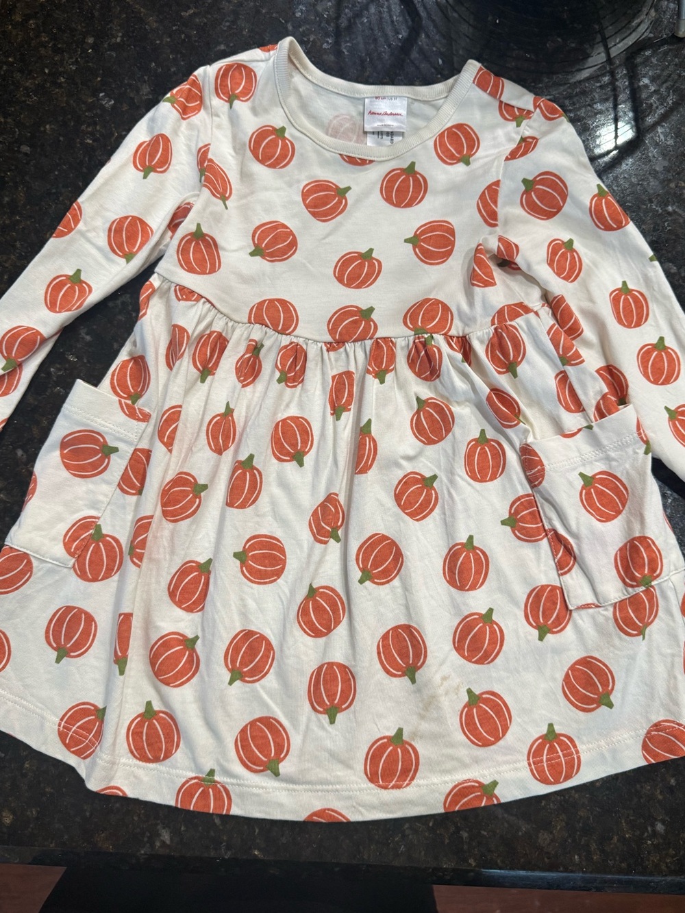 Hanna Andersson Pumpkin Print Dress - Long Sleeve size 3T